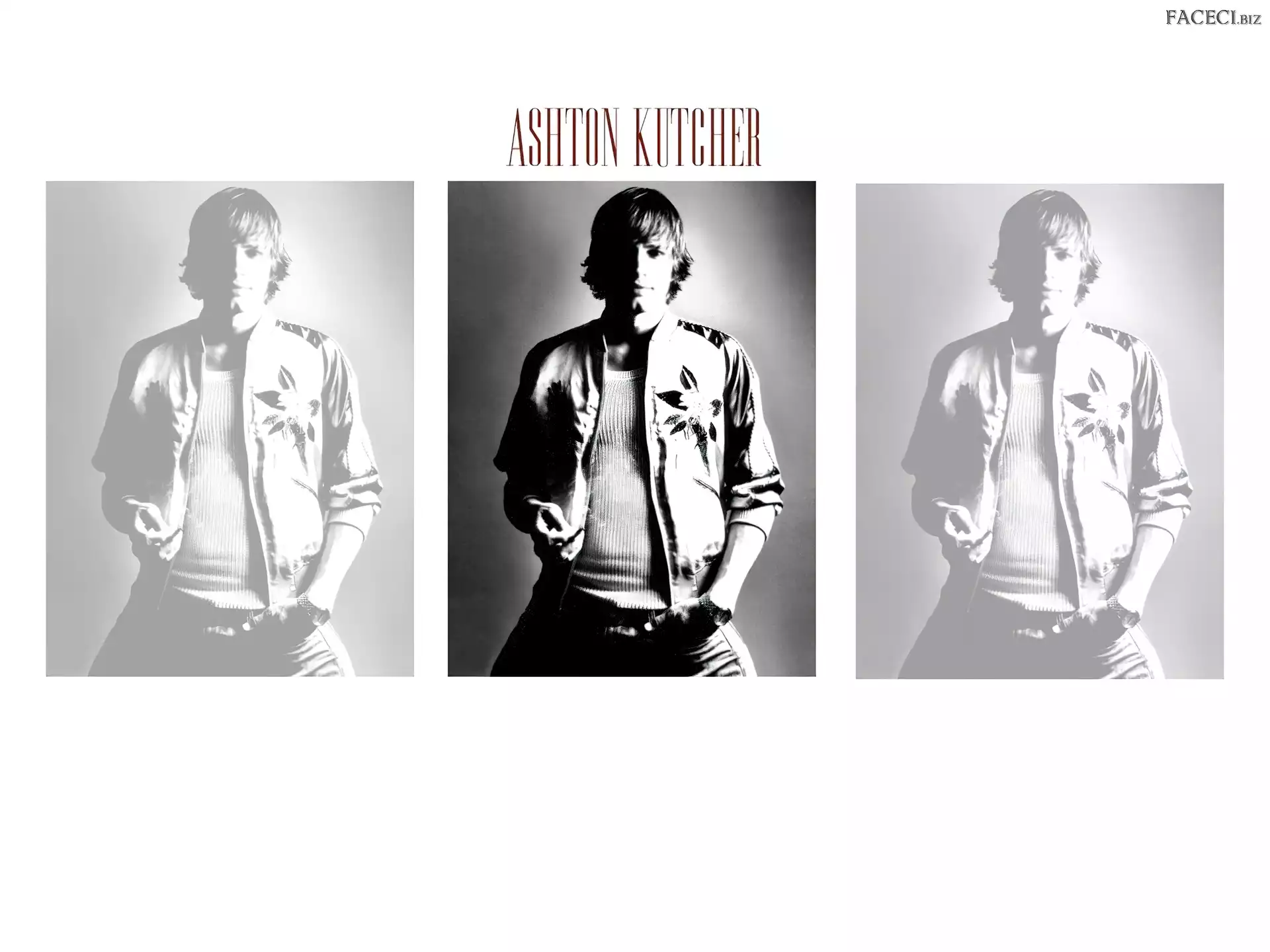 włosy, Ashton Kutcher, długie